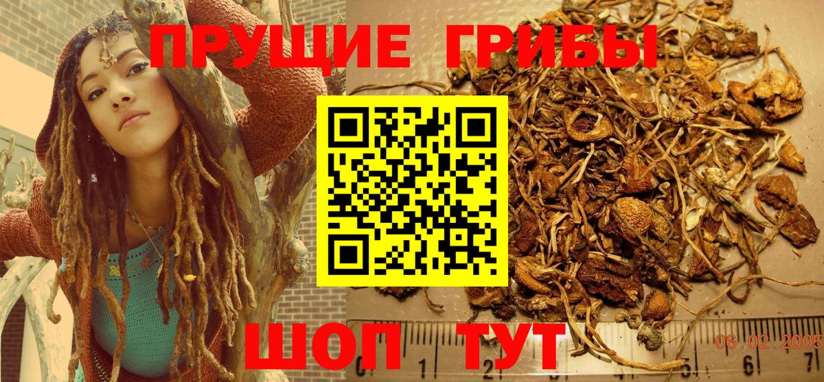 Псилоцибиновые грибы Cubensis Заринск