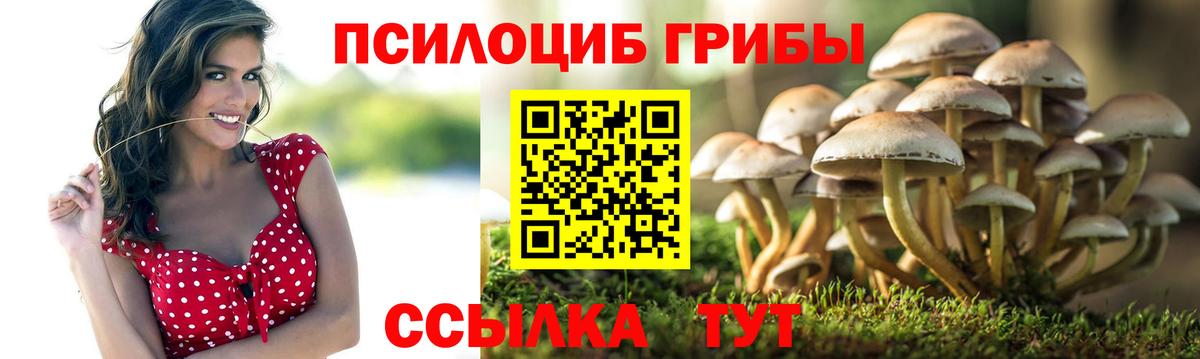 Заринск  Галлюциногенные грибы мицелий  Вход с VPN 